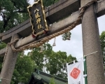 【海老江八坂神社】4月1日(月)　海老之宮よろず市