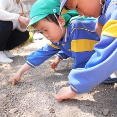 ひまわりの絆プロジェクト　2019年5月16日