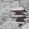 金剛院・冬