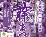 筑紫野市祭「二日市温泉藤まつり」開催のお知らせ