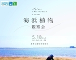 【5/18】生物多様性保全事業観察会「海浜植物の観察とオオキンケイギクの除去」