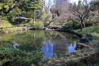 入口に近い下流の池