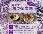 【4/20・21・27・28】観音堂　藤の花食堂