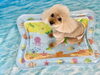 るなちゃん「波とわんこ🌊」