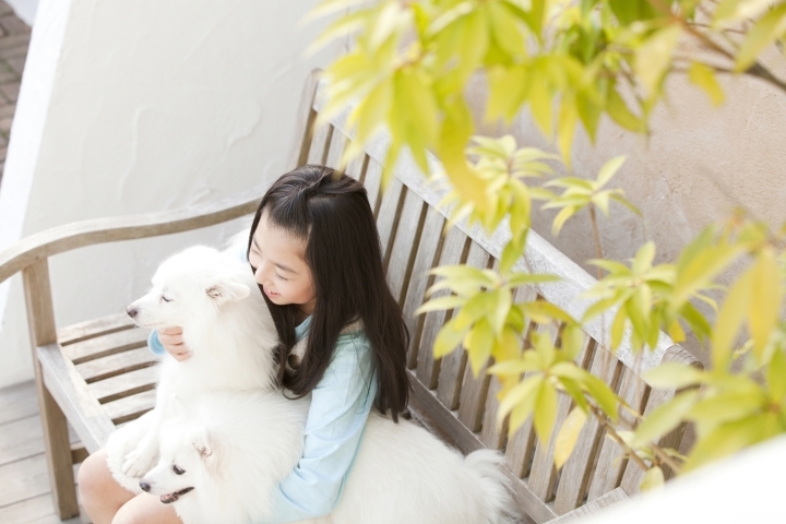 南区 仁保 西本浦 青崎 おすすめペットホテル サロンまとめ3選 広島市南区のイチオシ店舗特集 まいぷれ 広島市南区