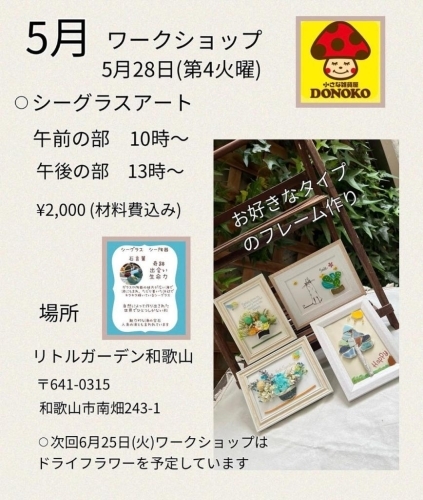 小さな雑貨屋DONOKOのシーグラスアートが体験できるワークショップが開催！