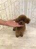 「お迎え　（＾ν＾）♡」