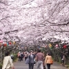 公渕森林公園