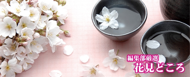 徳島市 まいぷれ