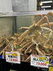 「12月24日からの松葉蟹🦀ラインナップなど、年末に向けてのお知らせ」