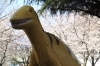 子供の森公園 品川 臨海エリアの桜お花見スポット特集 まいぷれ 品川区