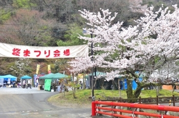 (4)桜まつり会場入り口
