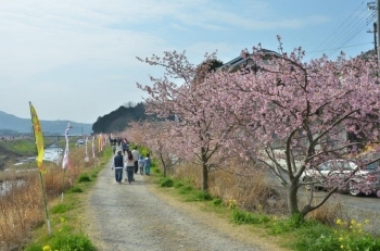 畑毛せせらぎ公園に続く道