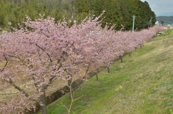 畑毛せせらぎ公園の南側