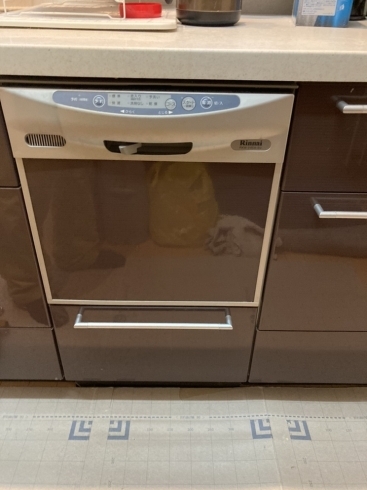 既存の食洗機「食器洗い乾燥機　入れ替え工事　〜スタイリッシュに〜」