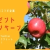 生産者応援！佐々豊青果×まいぷれコラボ企画！「天候被害果りんご『サンふじ』プレゼントキャンペーン」