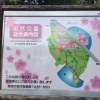 【田代公園】「とす弥生まつり」に行ってみよう！