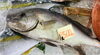 「魚魚市場鮮魚コーナーおすすめは「イトヨリ・カマス」です♪」