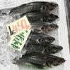 「魚魚市場鮮魚コーナーおすすめは「クロムツ・カマス」です♪」