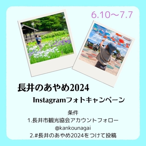 「長井のあやめ2024」Instagramフォトキャンペーン（6/10～7/7）