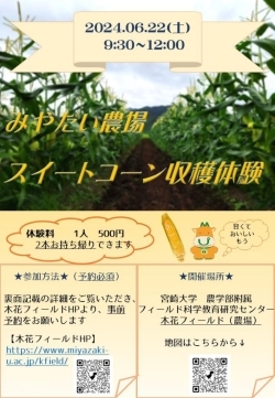 宮崎大学農場スイートコーン収穫体験