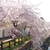 仏生山公園