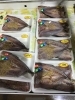 「魚魚市場鮮魚コーナーおすすめは「ヒオウギ貝」です♪」