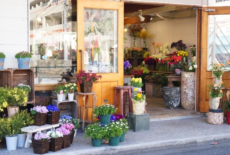 岩国 柳井 周防大島 和木 大竹 まいぷれ