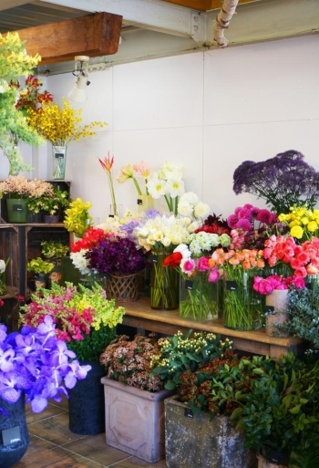 岩国 柳井 周防大島 和木 大竹 まいぷれ