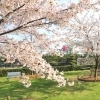 史跡高松城跡 玉藻公園