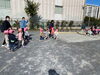 こども園を出発！「自然動物園に行きました！」
