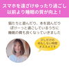 「何もしない時間は大切！寝る前の１時間、猫丸はこんなふうに過ごしています（=^ェ^=) 整体・オイル・リーディング・占い・顔そり・氣功」