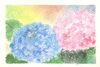 見本作品「エモーショナルアート教室「紫陽花」　産婦人科山口病院」