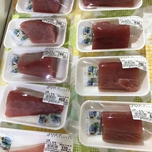 「魚魚市場鮮魚コーナーおすすめは「ビンチョウマグロ」です♪」