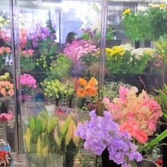JR勝川駅すぐ！　ステキなお花がいっぱいのお花屋さん『花久』　