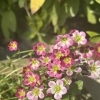 アロマケア 100分【足浴・ホットタオル(首/足)・ハーブティ付き🌿】
