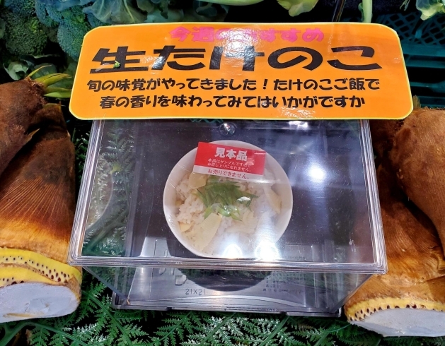 春の旬 生の たけのこ が並びました ヨークベニマル長井小出店のニュース まいぷれ 長井 西置賜 春の旬 生の たけのこ が並びました ヨークベニマル長井小出店のニュース まいぷれ 長井 西置賜