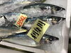 「魚魚市場鮮魚コーナーおすすめは「サバ・イトヨリ」です♪」