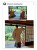 色打掛✨前撮り📷️「色打掛✨前撮り📷️… 四国中央市 美容室 オゾン 髪質改善 カラー会員  空間除菌 コロナ対策 オゾン殺菌力 ブライダル  成人式 着付け ヘアメイク 美容師 理容師 顔剃り 新居浜市」