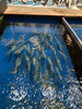 生け簀直送！新鮮で活きのいい泳ぎイカ「約2か月ぶりに名物・泳ぎイカ入荷しました」