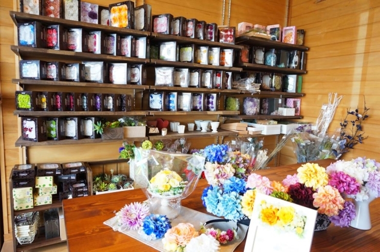 岩国 柳井 周防大島 和木 大竹 まいぷれ