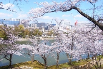広島城から望む川沿いの眺めもきれいですよ！
