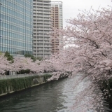 大崎・東五反田　御成橋付近