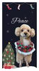 「Dog salon mofu mofu　余市町」