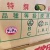 「秋田県産　小玉すいか「あきた夏丸　チッチェ」です」