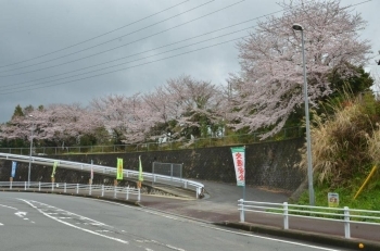 伊豆縦貫道から見えます