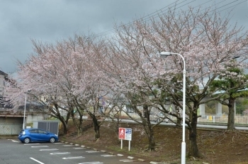 エースさん駐車場