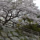 三原城跡公園