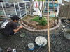 写真３：植栽まわりをピンコロで縁取りします「『生垣→フェンスにしたい❕❕』出雲市：お仕事紹介🏃🏃」