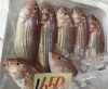 「魚魚市場鮮魚コーナーおすすめは「エビスダイ・岐阜県産あゆ」です♪」
